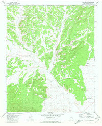 Log Canyon New Mexico Historical topographic map, 1:24000 scale, 7.5 X 7.5 Minute, Year 1981