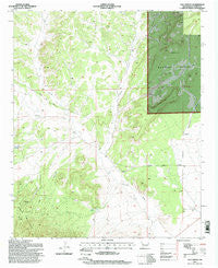 Log Canyon New Mexico Historical topographic map, 1:24000 scale, 7.5 X 7.5 Minute, Year 1995