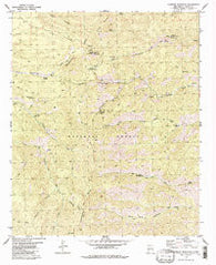 Lookout Mountain New Mexico Historical topographic map, 1:24000 scale, 7.5 X 7.5 Minute, Year 1981