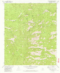 Lookout Mountain New Mexico Historical topographic map, 1:24000 scale, 7.5 X 7.5 Minute, Year 1981