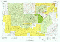 Los Alamos New Mexico Historical topographic map, 1:100000 scale, 30 X 60 Minute, Year 1978