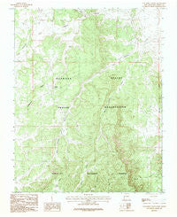 Los Indios Canyon New Mexico Historical topographic map, 1:24000 scale, 7.5 X 7.5 Minute, Year 1983