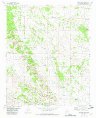 Lovelace Mesa New Mexico Historical topographic map, 1:24000 scale, 7.5 X 7.5 Minute, Year 1982