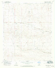 Lovelady Draw New Mexico Historical topographic map, 1:24000 scale, 7.5 X 7.5 Minute, Year 1967