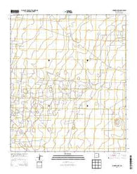 Lovington SW New Mexico Historical topographic map, 1:24000 scale, 7.5 X 7.5 Minute, Year 2013