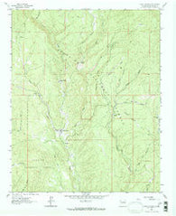 Lower Colonias New Mexico Historical topographic map, 1:24000 scale, 7.5 X 7.5 Minute, Year 1961