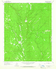 Lower Colonias New Mexico Historical topographic map, 1:24000 scale, 7.5 X 7.5 Minute, Year 1961