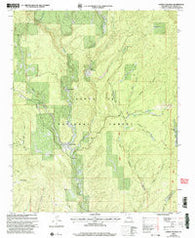 Lower Colonias New Mexico Historical topographic map, 1:24000 scale, 7.5 X 7.5 Minute, Year 2002