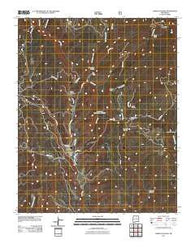 Lower Colonias New Mexico Historical topographic map, 1:24000 scale, 7.5 X 7.5 Minute, Year 2011