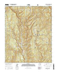 Lower Colonias New Mexico Current topographic map, 1:24000 scale, 7.5 X 7.5 Minute, Year 2017