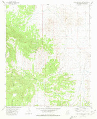 Luera Mountains East New Mexico Historical topographic map, 1:24000 scale, 7.5 X 7.5 Minute, Year 1981