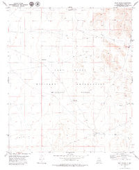 Mack Tanks New Mexico Historical topographic map, 1:24000 scale, 7.5 X 7.5 Minute, Year 1979