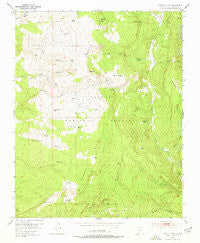 Magote Peak New Mexico Historical topographic map, 1:24000 scale, 7.5 X 7.5 Minute, Year 1953