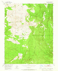Magote Peak New Mexico Historical topographic map, 1:24000 scale, 7.5 X 7.5 Minute, Year 1953
