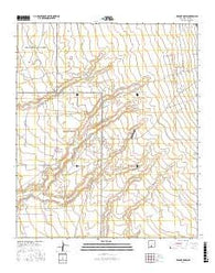 Malone Draw New Mexico Current topographic map, 1:24000 scale, 7.5 X 7.5 Minute, Year 2017