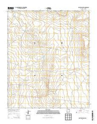 Malstrom Ranch New Mexico Historical topographic map, 1:24000 scale, 7.5 X 7.5 Minute, Year 2013