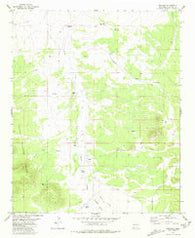 Mangas New Mexico Historical topographic map, 1:24000 scale, 7.5 X 7.5 Minute, Year 1981