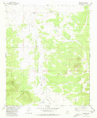 Mangas New Mexico Historical topographic map, 1:24000 scale, 7.5 X 7.5 Minute, Year 1981