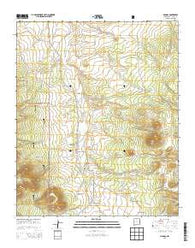 Mangas New Mexico Historical topographic map, 1:24000 scale, 7.5 X 7.5 Minute, Year 2013