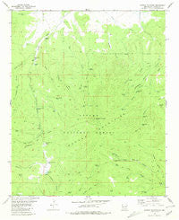 Mangas Mountain New Mexico Historical topographic map, 1:24000 scale, 7.5 X 7.5 Minute, Year 1981