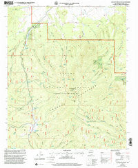Mangas Mountain New Mexico Historical topographic map, 1:24000 scale, 7.5 X 7.5 Minute, Year 1999