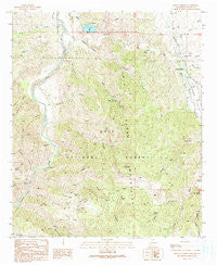 Mangas Springs New Mexico Historical topographic map, 1:24000 scale, 7.5 X 7.5 Minute, Year 1990