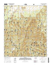 Mangas Mountain New Mexico Current topographic map, 1:24000 scale, 7.5 X 7.5 Minute, Year 2017