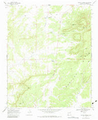 Mariano Springs New Mexico Historical topographic map, 1:24000 scale, 7.5 X 7.5 Minute, Year 1967