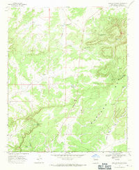 Mariano Springs New Mexico Historical topographic map, 1:24000 scale, 7.5 X 7.5 Minute, Year 1967