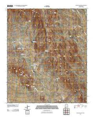 Massacre Peak New Mexico Historical topographic map, 1:24000 scale, 7.5 X 7.5 Minute, Year 2010
