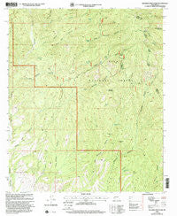Maverick Mountain New Mexico Historical topographic map, 1:24000 scale, 7.5 X 7.5 Minute, Year 1999