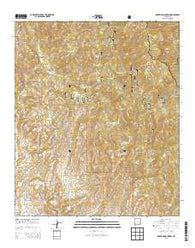 Maverick Mountain New Mexico Historical topographic map, 1:24000 scale, 7.5 X 7.5 Minute, Year 2013
