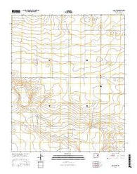 McAlister New Mexico Current topographic map, 1:24000 scale, 7.5 X 7.5 Minute, Year 2017