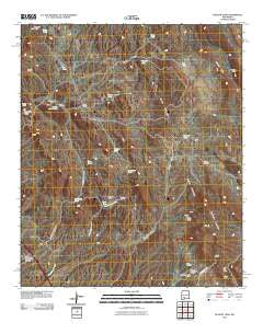 McLeod Tank New Mexico Historical topographic map, 1:24000 scale, 7.5 X 7.5 Minute, Year 2010