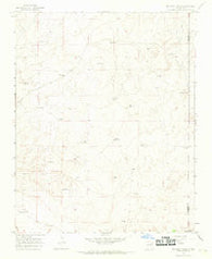 Mc Carty Ranch New Mexico Historical topographic map, 1:24000 scale, 7.5 X 7.5 Minute, Year 1966