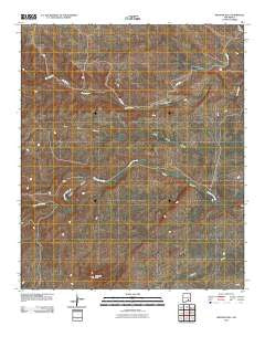 Meadow Hill New Mexico Historical topographic map, 1:24000 scale, 7.5 X 7.5 Minute, Year 2010