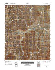Mecate Meadow New Mexico Historical topographic map, 1:24000 scale, 7.5 X 7.5 Minute, Year 2010