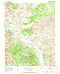 Medanales New Mexico Historical topographic map, 1:24000 scale, 7.5 X 7.5 Minute, Year 1953