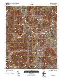 Medina Mesa New Mexico Historical topographic map, 1:24000 scale, 7.5 X 7.5 Minute, Year 2010