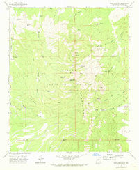 Mesa Cencerro New Mexico Historical topographic map, 1:24000 scale, 7.5 X 7.5 Minute, Year 1964