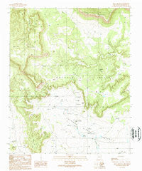 Mesa Cencerro New Mexico Historical topographic map, 1:24000 scale, 7.5 X 7.5 Minute, Year 1989