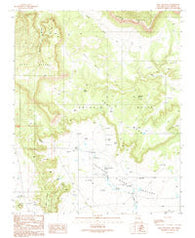 Mesa Chupinas New Mexico Historical topographic map, 1:24000 scale, 7.5 X 7.5 Minute, Year 1989
