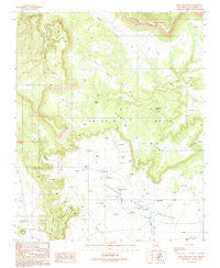 Mesa Chupinas New Mexico Historical topographic map, 1:24000 scale, 7.5 X 7.5 Minute, Year 1989