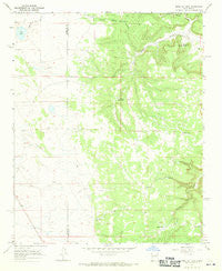 Mesa El Toro New Mexico Historical topographic map, 1:24000 scale, 7.5 X 7.5 Minute, Year 1966
