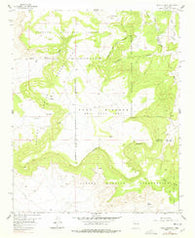 Mesa Gigante New Mexico Historical topographic map, 1:24000 scale, 7.5 X 7.5 Minute, Year 1957