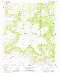 Mesa Gigante New Mexico Historical topographic map, 1:24000 scale, 7.5 X 7.5 Minute, Year 1957