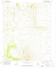 Mesa Larga New Mexico Historical topographic map, 1:24000 scale, 7.5 X 7.5 Minute, Year 1971