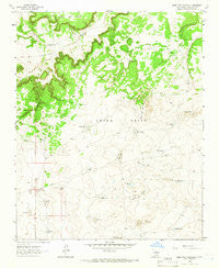Mesa Palo Amarillo New Mexico Historical topographic map, 1:24000 scale, 7.5 X 7.5 Minute, Year 1963