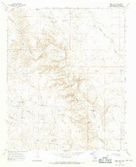 Mesa SW New Mexico Historical topographic map, 1:24000 scale, 7.5 X 7.5 Minute, Year 1967