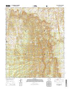 Mesa Cencerro New Mexico Historical topographic map, 1:24000 scale, 7.5 X 7.5 Minute, Year 2013
